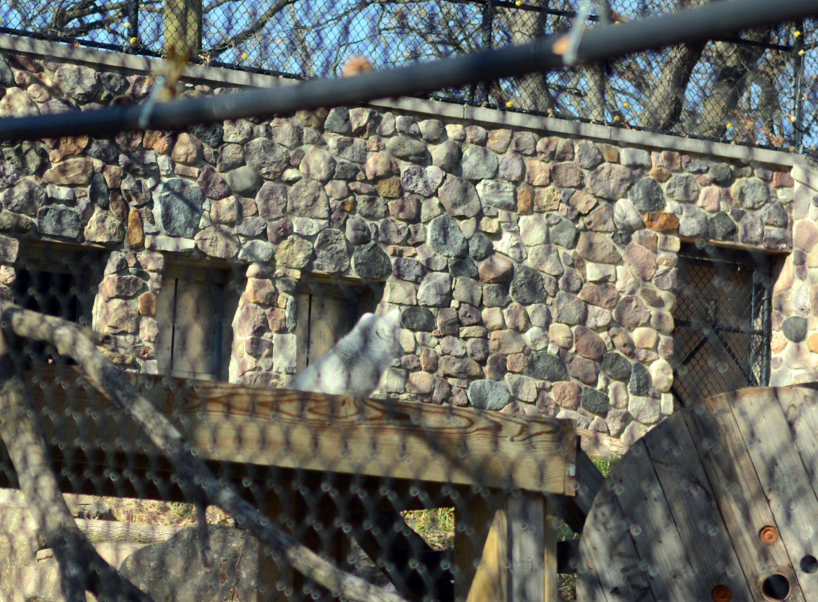 Scenes from Baraboo's Ochsner Park Zoo, Nov. 7, 2020